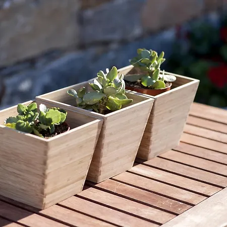 Erisimo אגיאלי