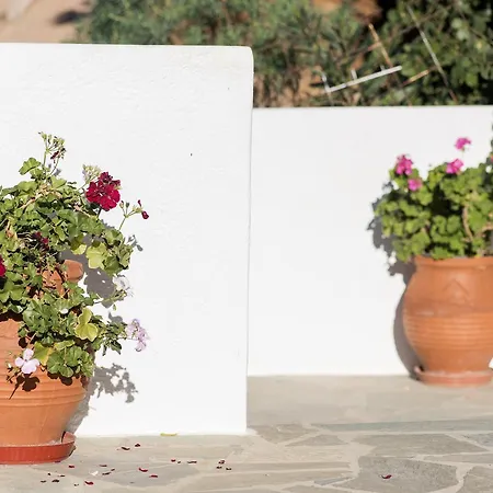 Erisimo 3* אגיאלי