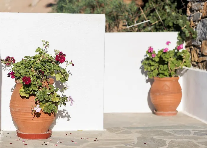 Erisimo 3* 艾吉亚里