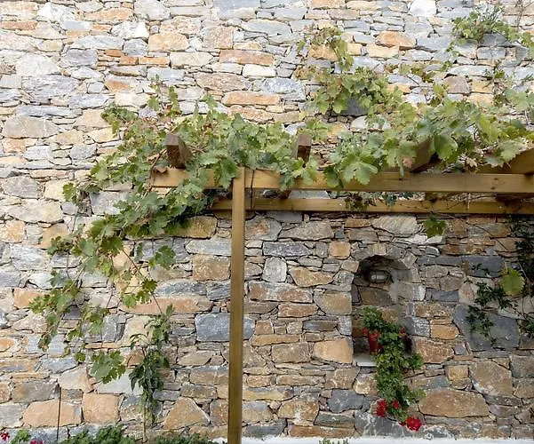 Erisimo 艾吉亚里