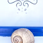 Erisimo